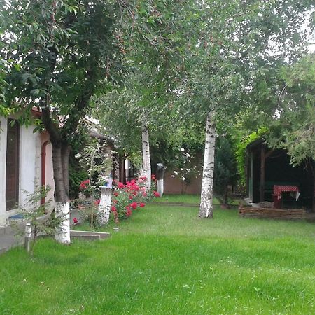 Camping Paradisul Soferilor Онешти Экстерьер фото