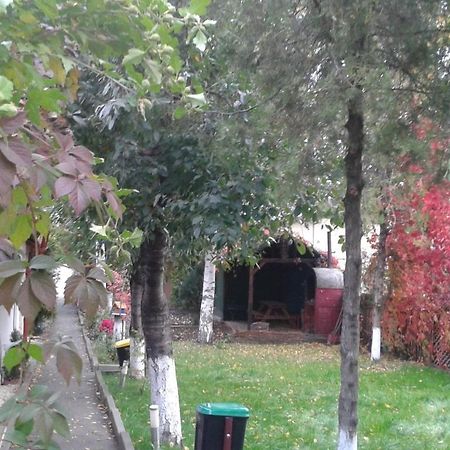 Camping Paradisul Soferilor Онешти Номер фото