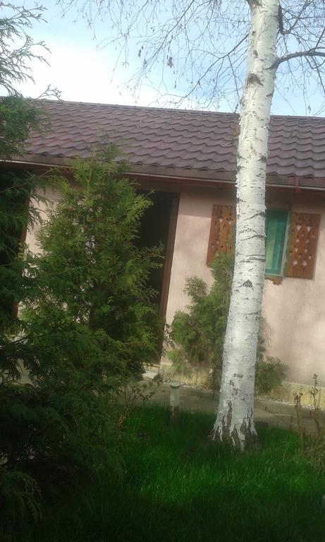 Camping Paradisul Soferilor Онешти Экстерьер фото