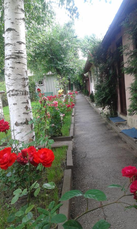 Camping Paradisul Soferilor Онешти Номер фото