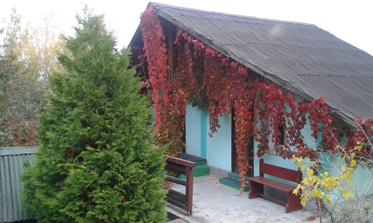 Camping Paradisul Soferilor Онешти Номер фото