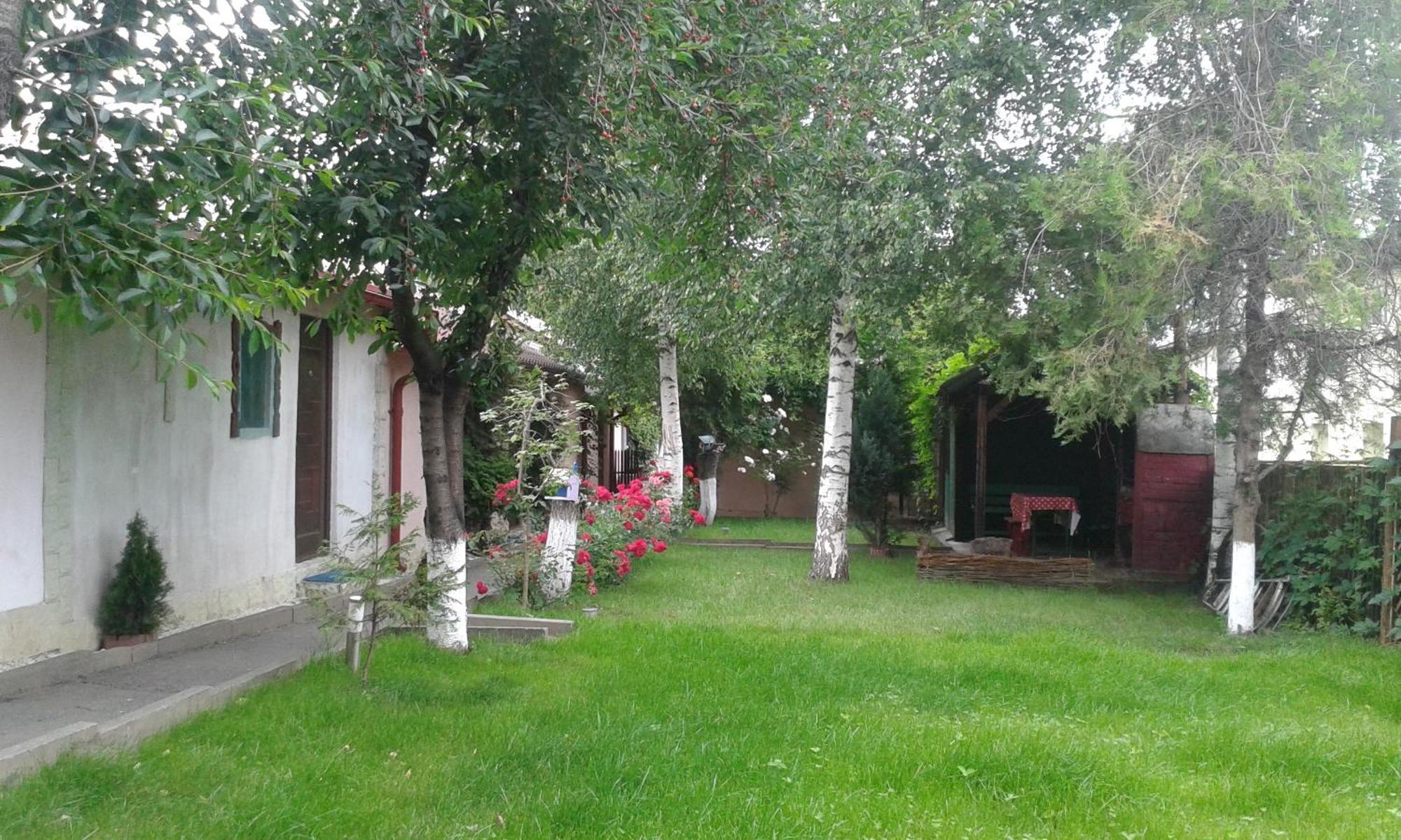Camping Paradisul Soferilor Онешти Экстерьер фото